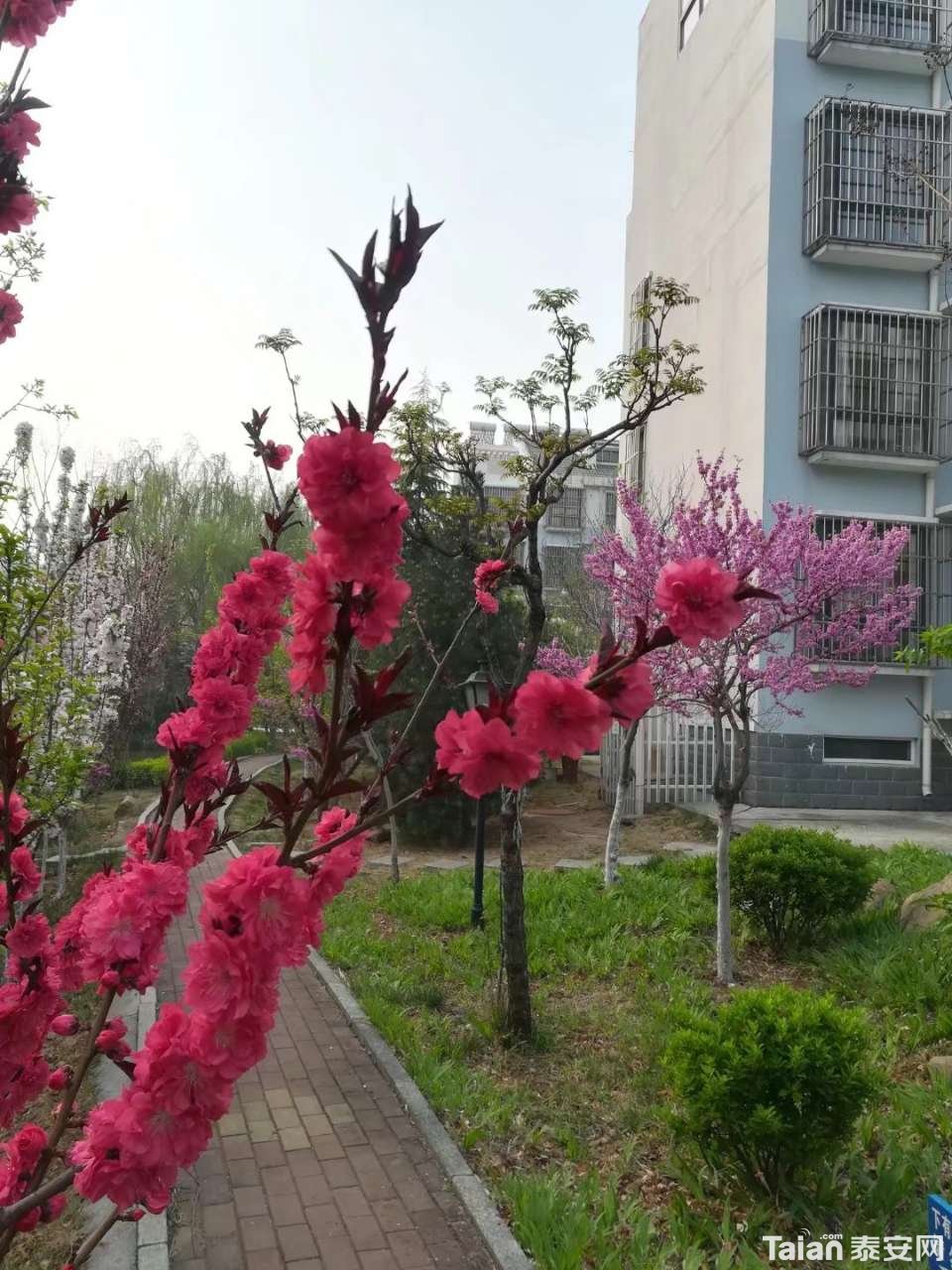 20190414_873967_1555220044988.jpg