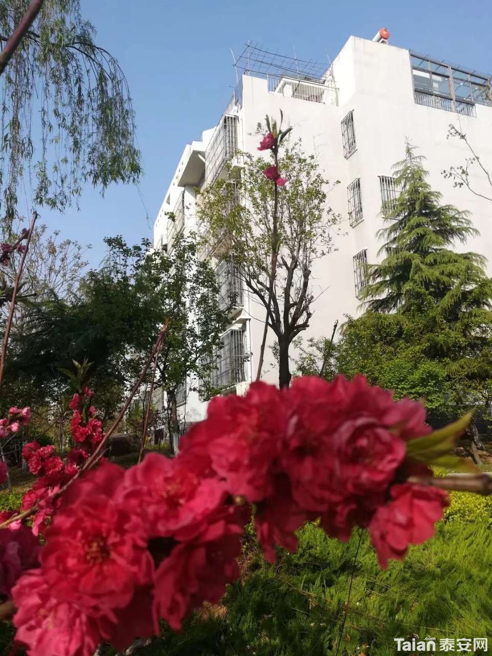 20190414_873967_1555220045410.jpg