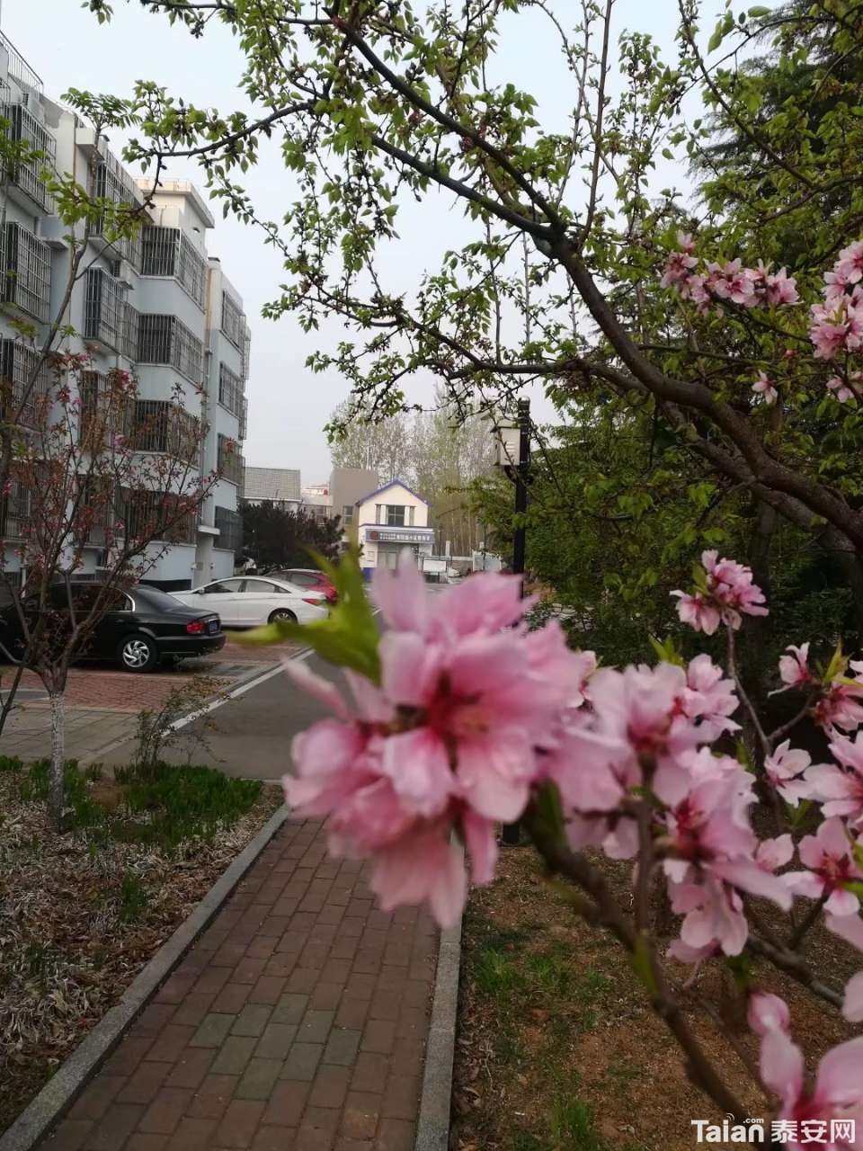 20190414_873967_1555220045262.jpg