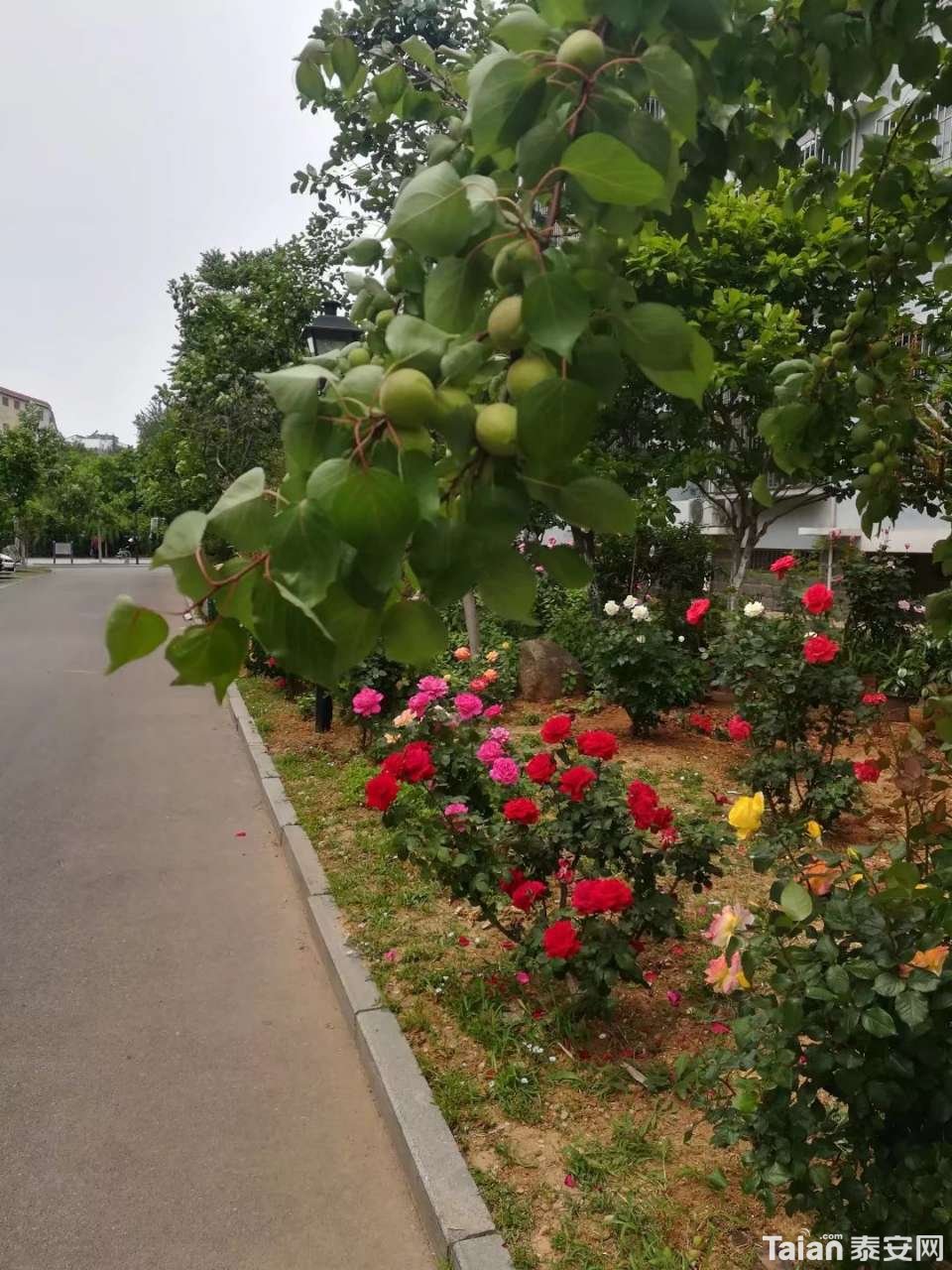 20190414_873967_1555220045675.jpg