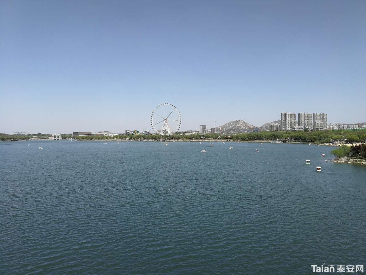 20190414_844987_1555246096226.jpg
