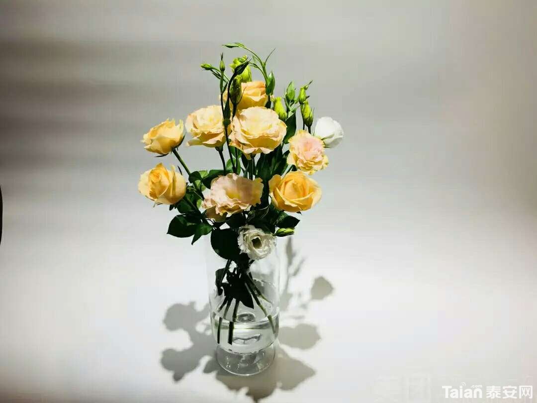20190416_889071_1555404613343.jpg