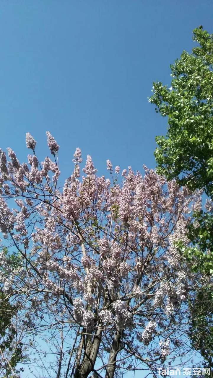 20190418_882721_1555553371405.jpg