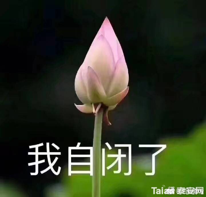 201904188599191555555135610706.jpg