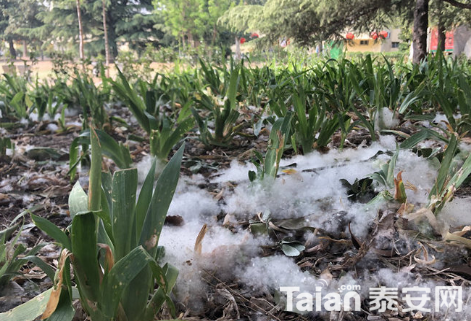 QQ��ͼ20190419110000.png