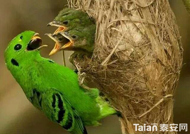 20190422_889071_1555887579887.jpg