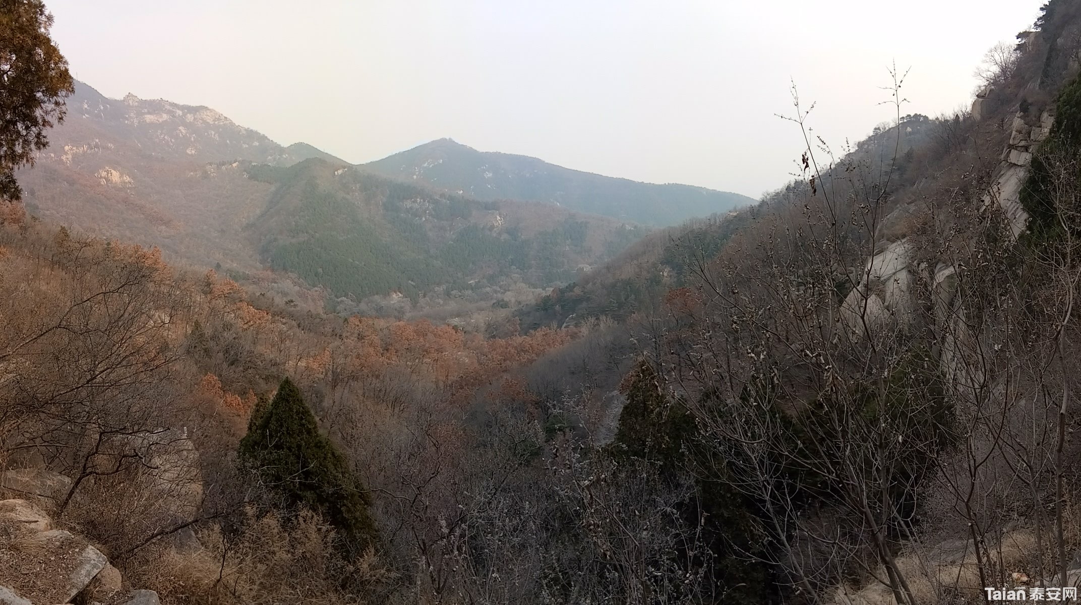 IMG_20190309_152910.jpg