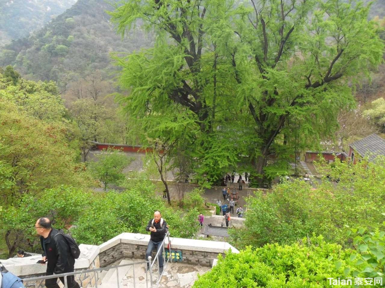 20190425_873967_1556175428056.jpg