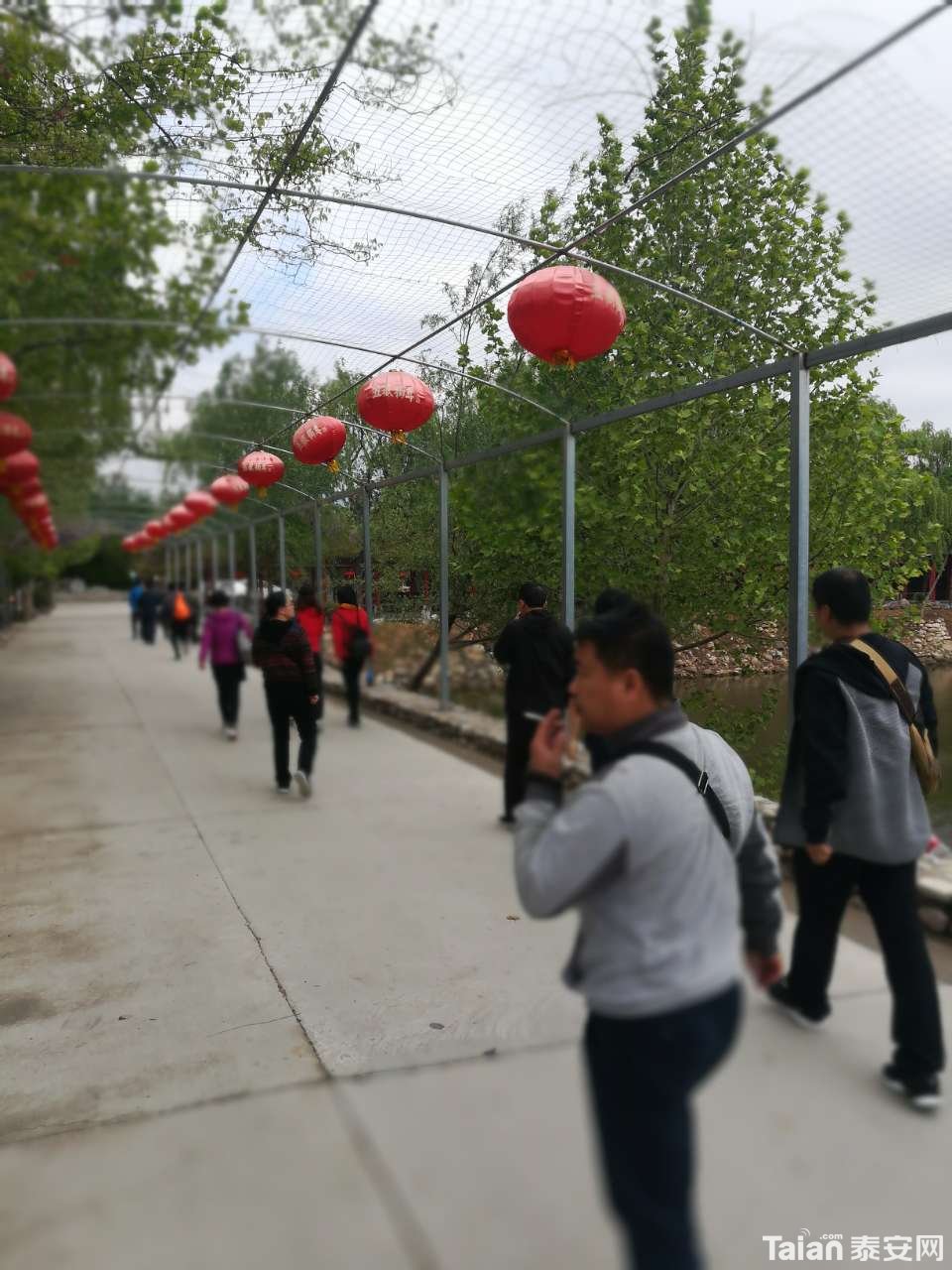 20190425_873967_1556175428697.jpg