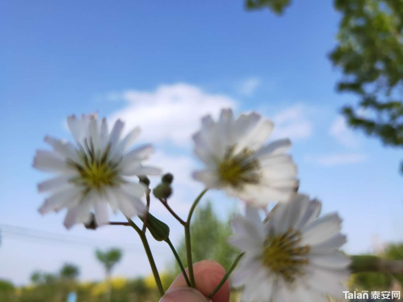 20190426_889811_1556283893658.jpg
