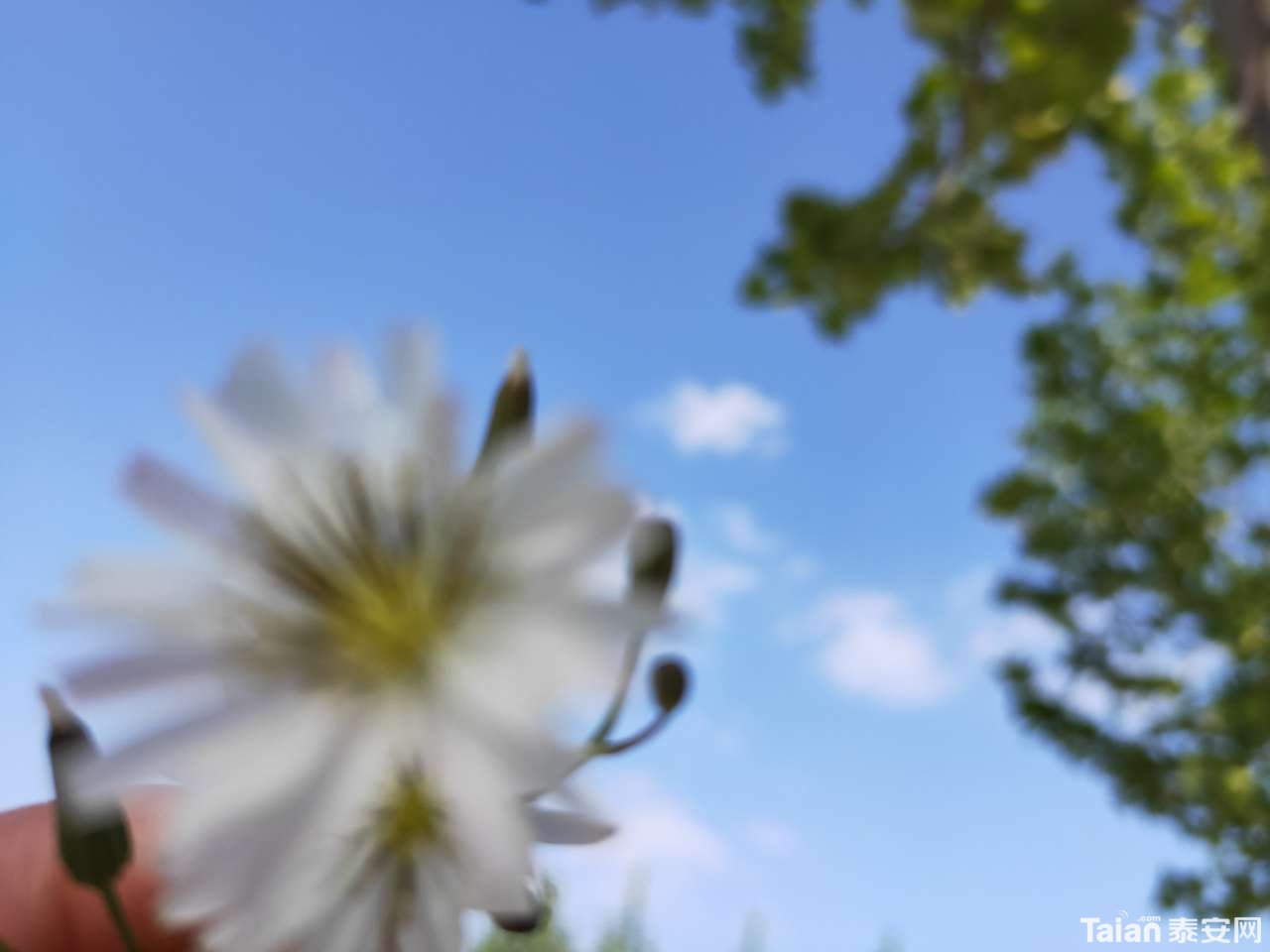 20190426_889811_1556283894116.jpg