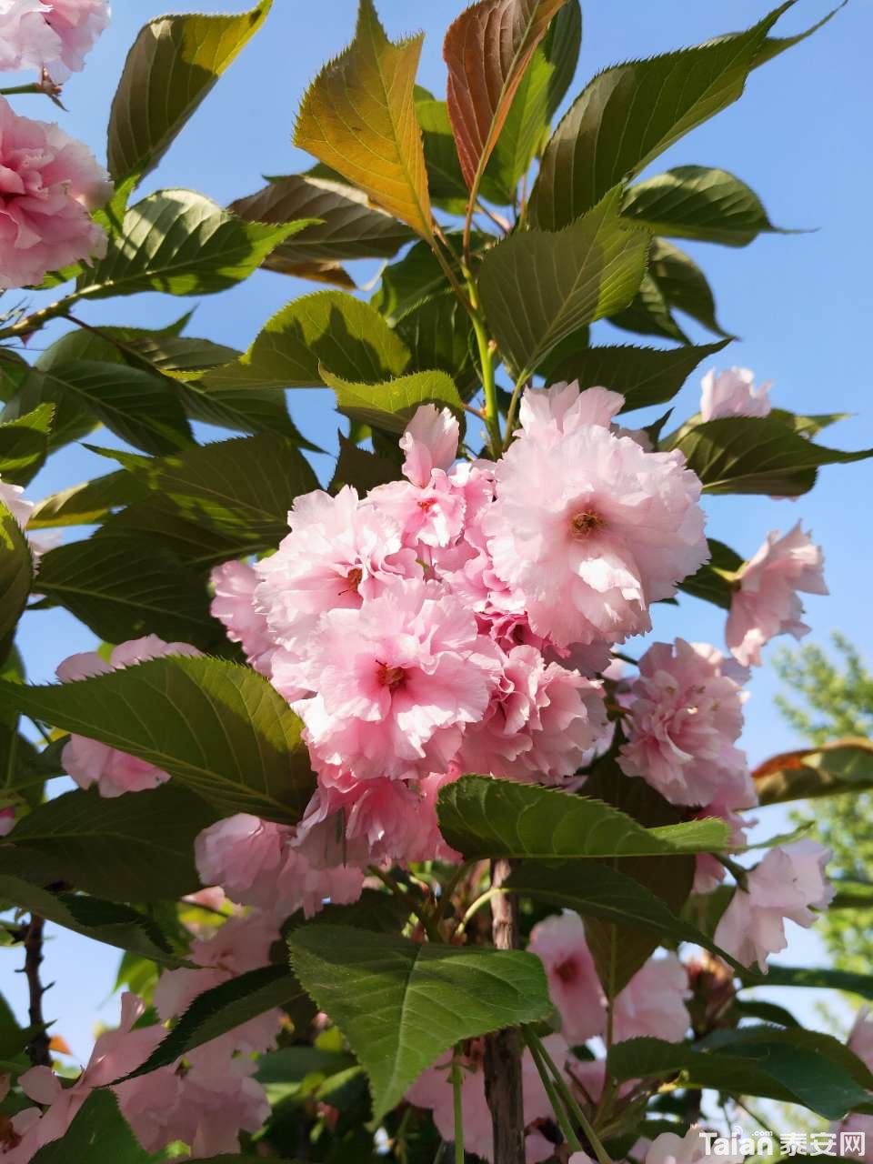 20190426_889811_1556283895489.jpg