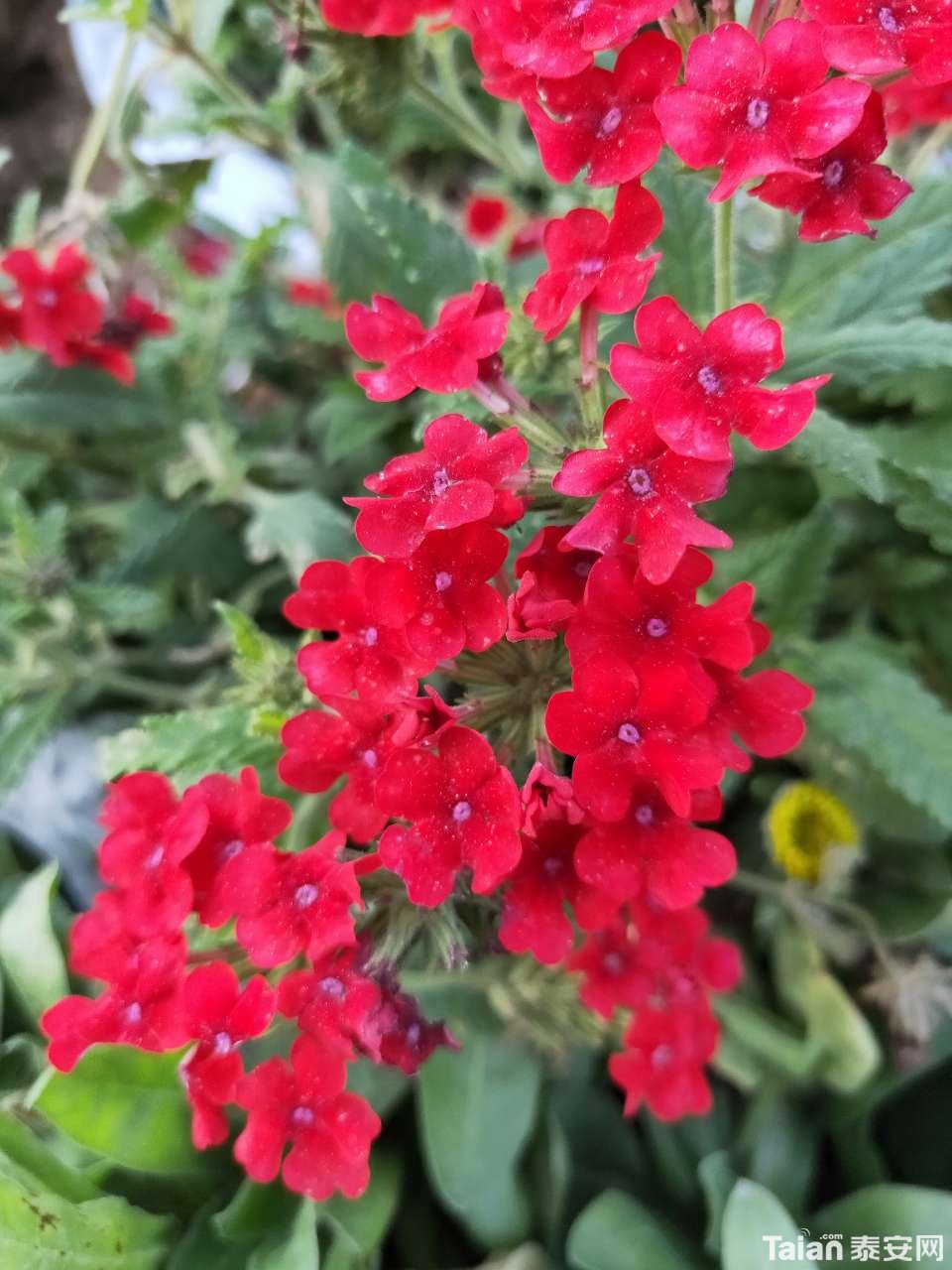 20190426_889811_1556283940521.jpg