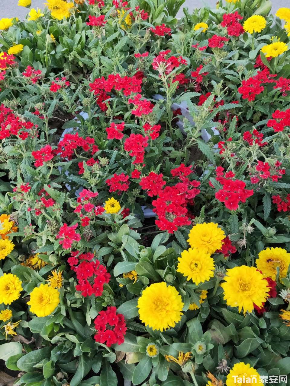 20190426_889811_1556283942082.jpg