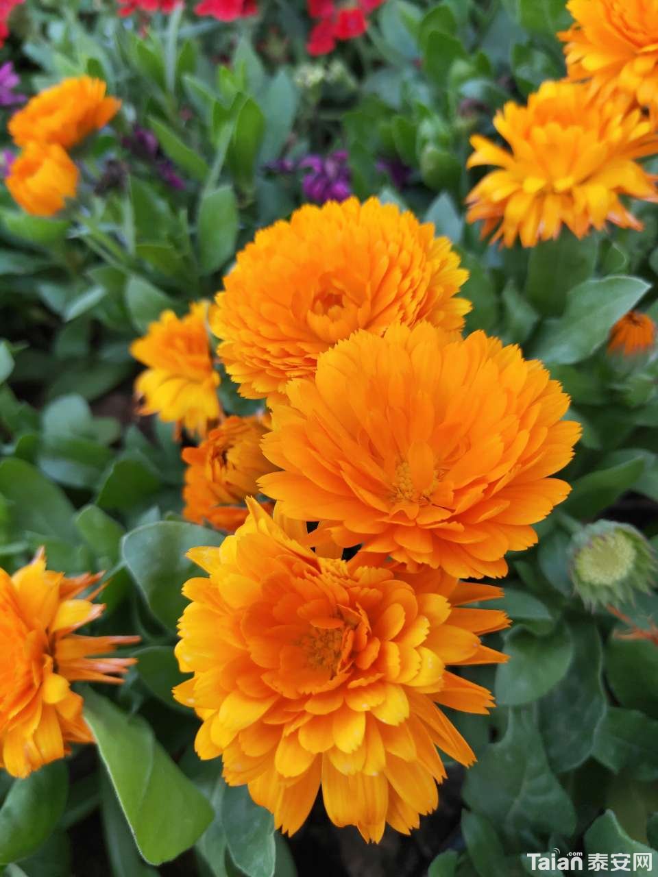 20190426_889811_1556283941456.jpg