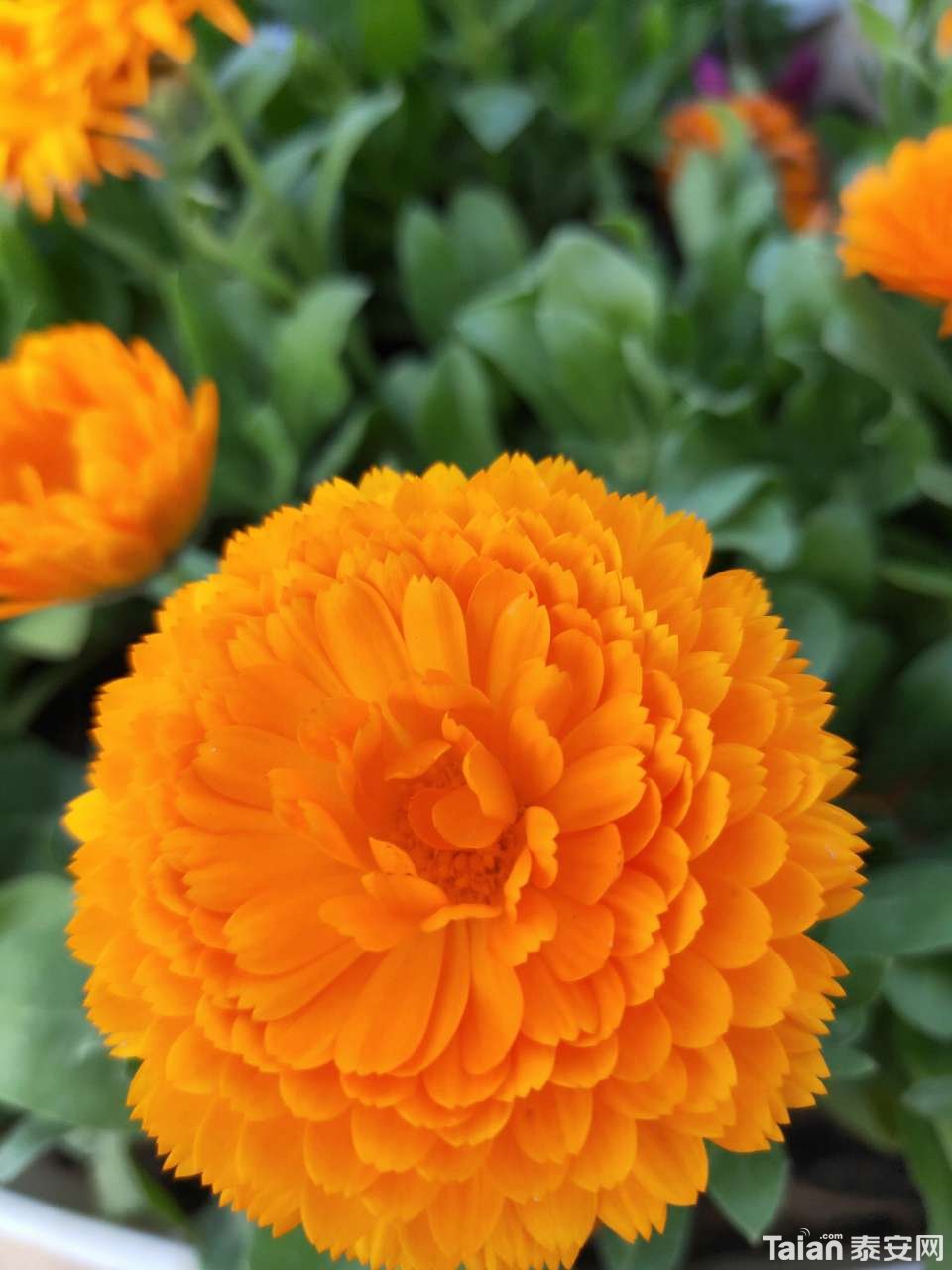 20190426_889811_1556283941763.jpg