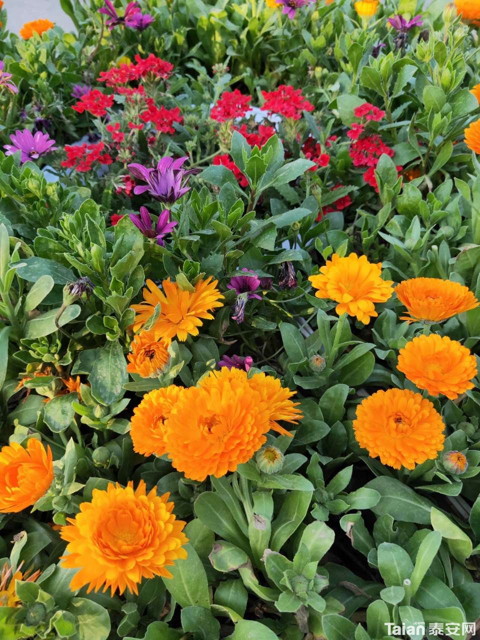 20190426_889811_1556283942424.jpg
