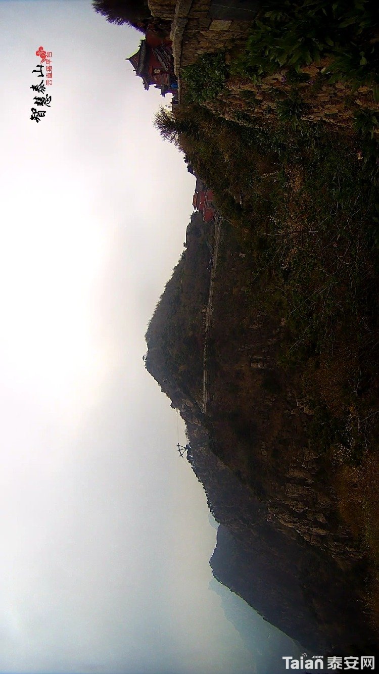 IMG_20190428_180351.jpg