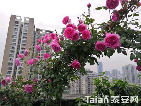 1556850049757.jpg
