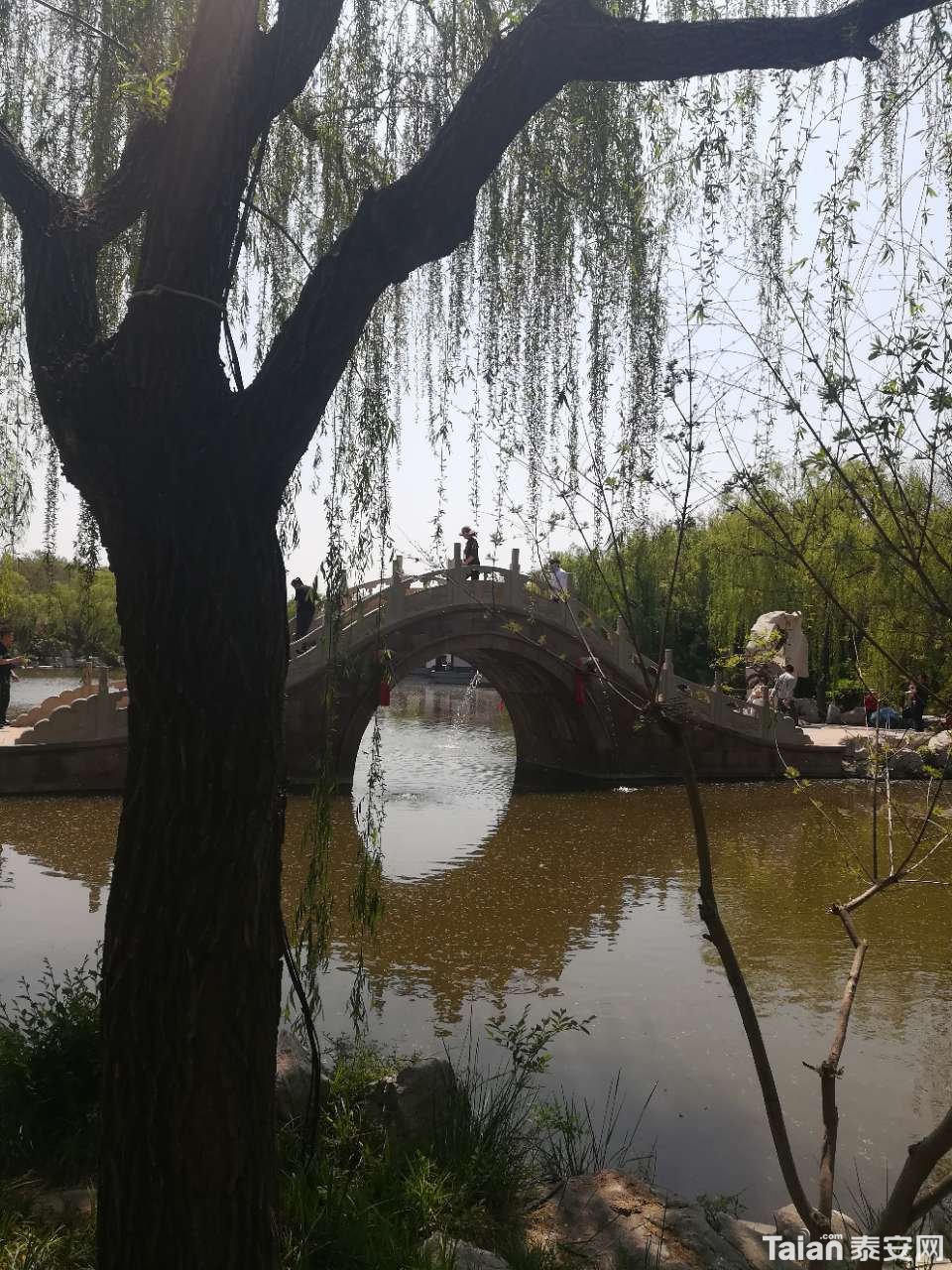 20190503_873967_1556883304622.jpg