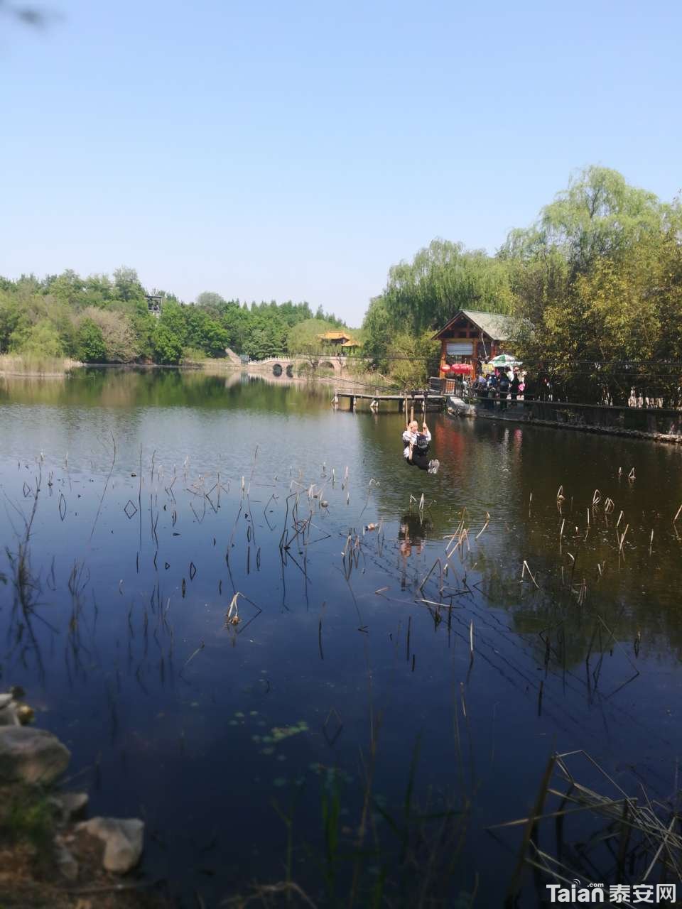 20190503_873967_1556883306434.jpg