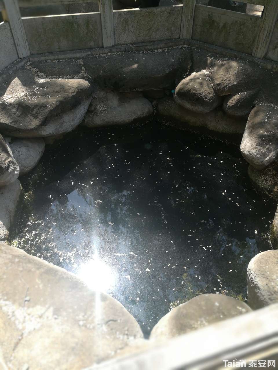 20190503_873967_1556883305909.jpg