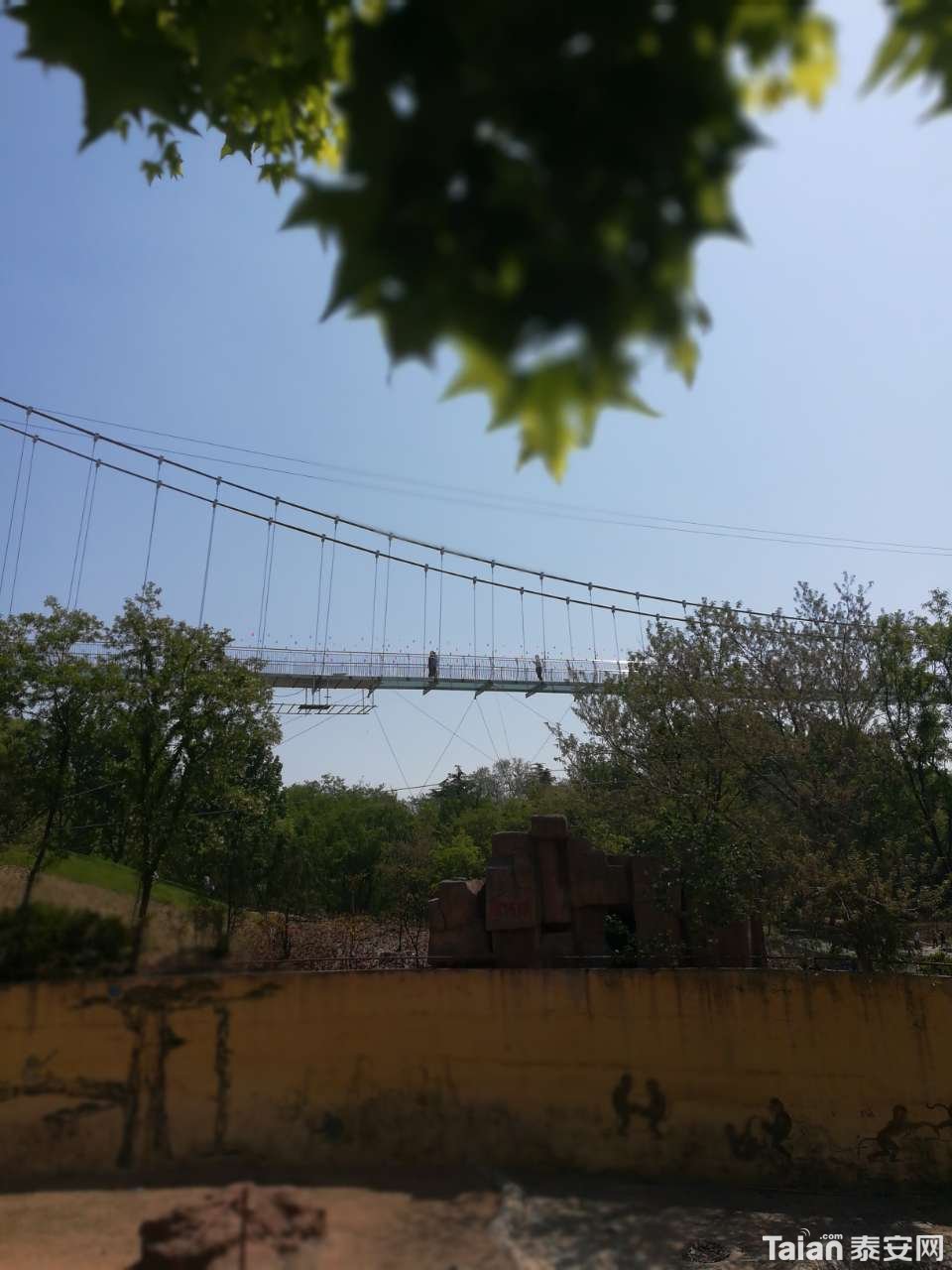 20190503_873967_1556883306194.jpg