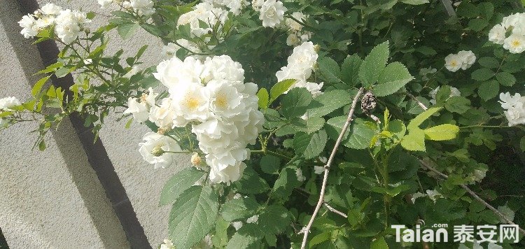 IMG20190506133154.jpg