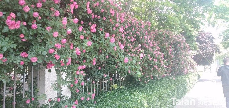 IMG20190506134518.jpg