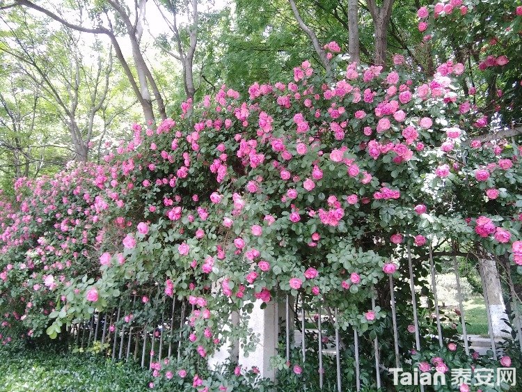 IMG20190506134343.jpg