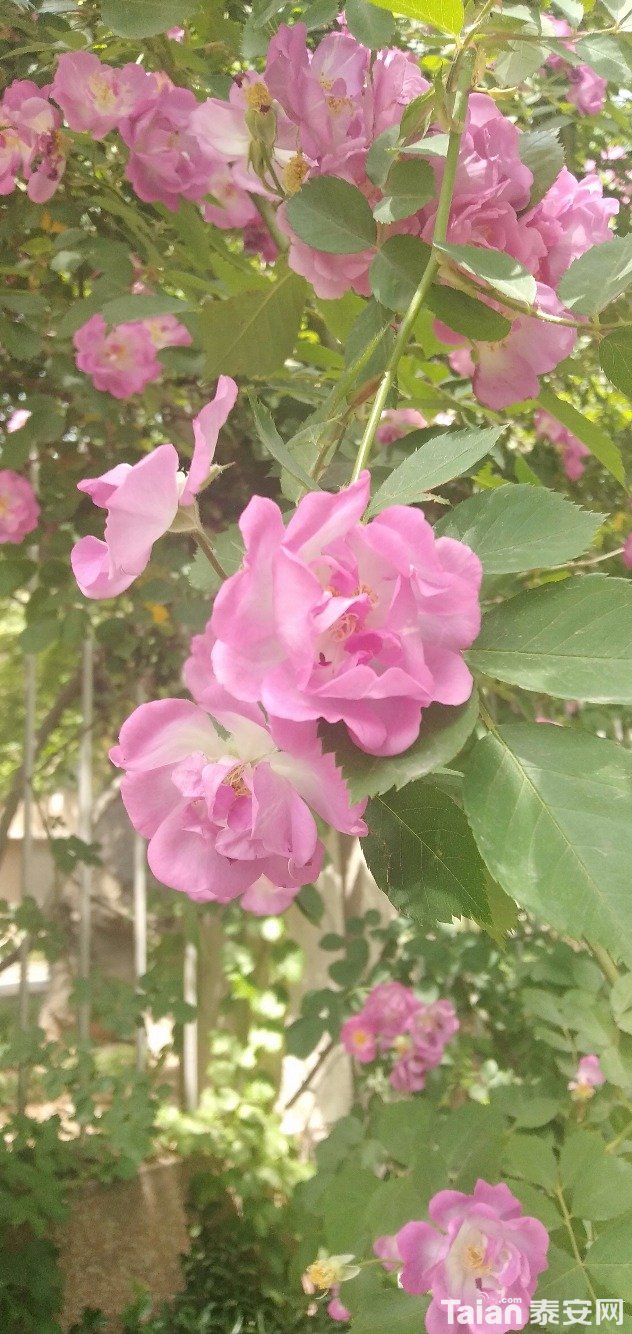 IMG20190506133309.jpg