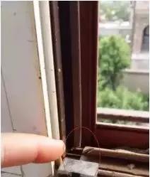 ��Ŀ���갡����ж�������
