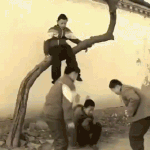 604e48d0ly1g2ak1aii4xg207s0dq7wk.gif