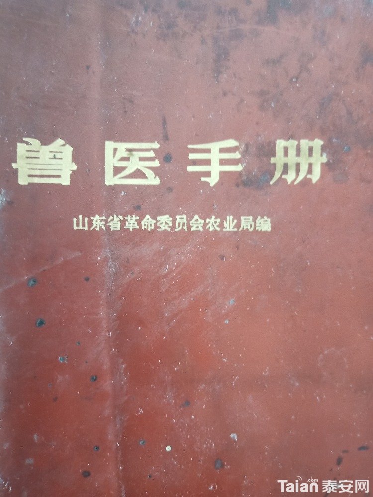 IMG_20190511_151306.jpg