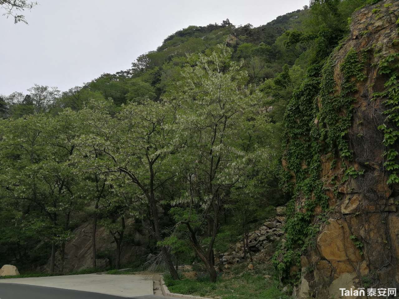 20190512_844987_1557659761554.jpg