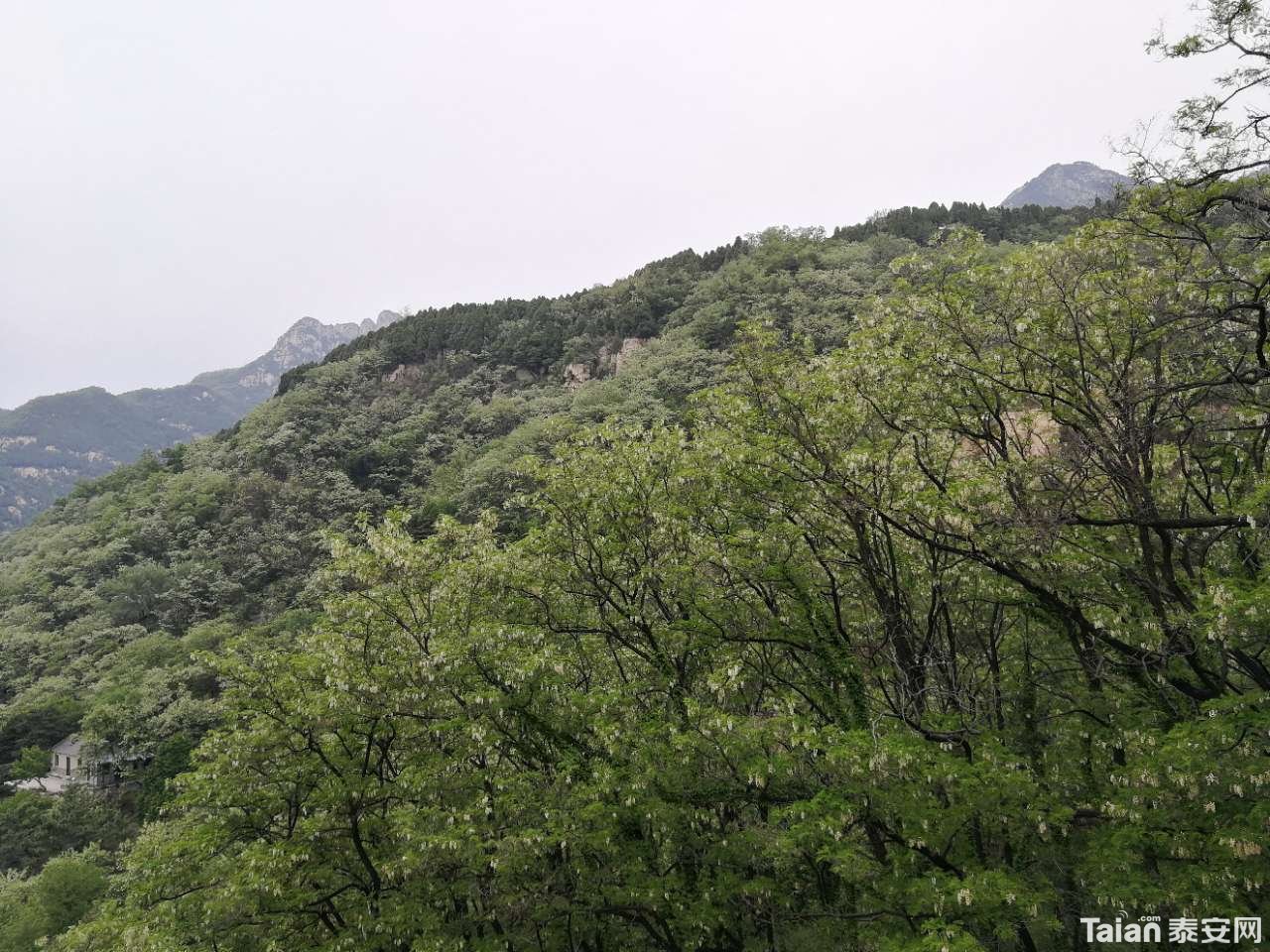 20190512_844987_1557659761848.jpg