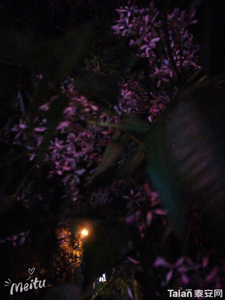 MTXX_20180429213605.jpg