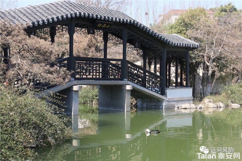 100513000000tseyc5849.jpg