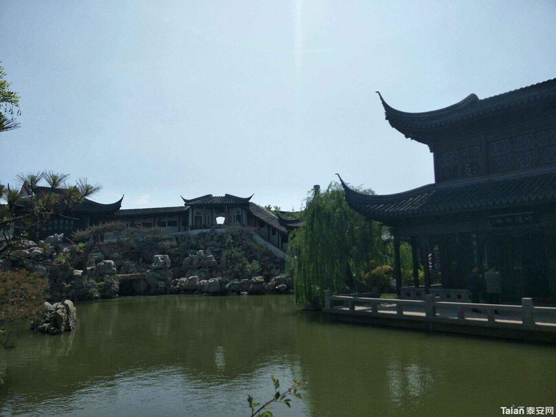 100614000000vvrx6695A.jpg