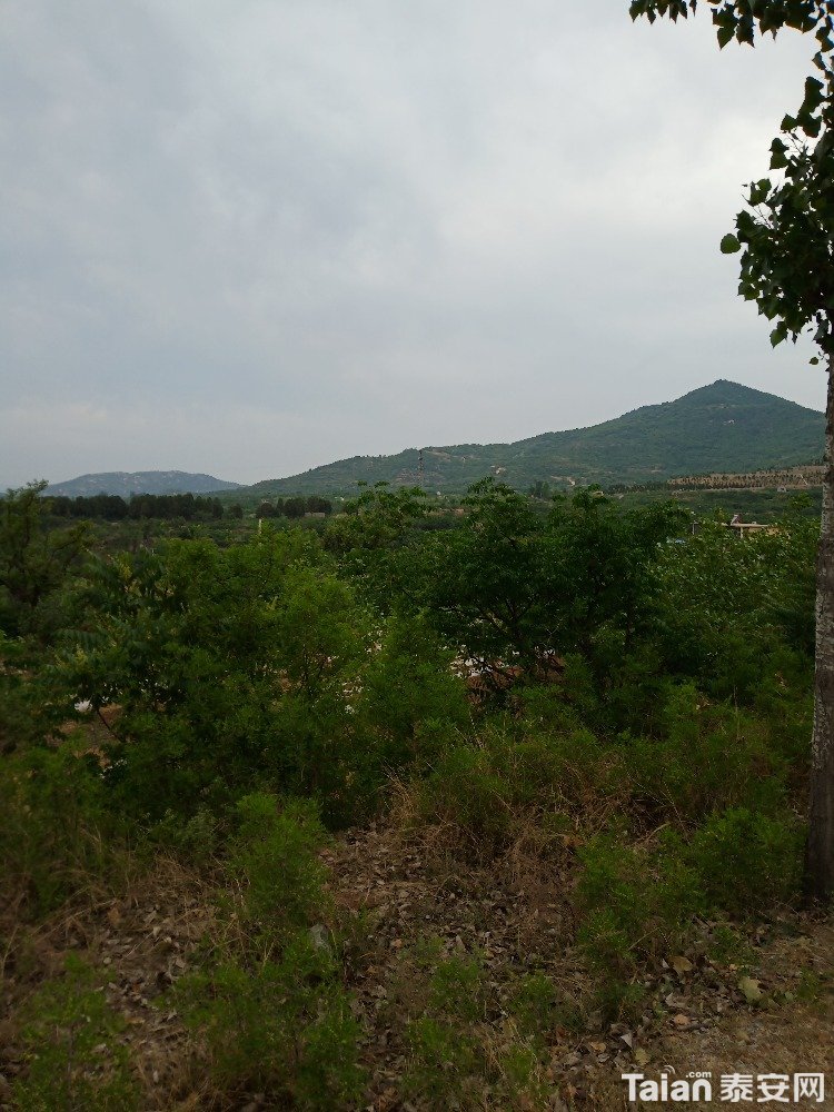 IMG_20190524_161643.jpg