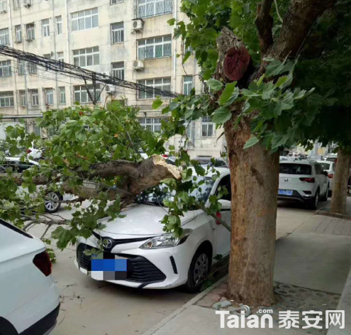QQ��ͼ20190527165012.png