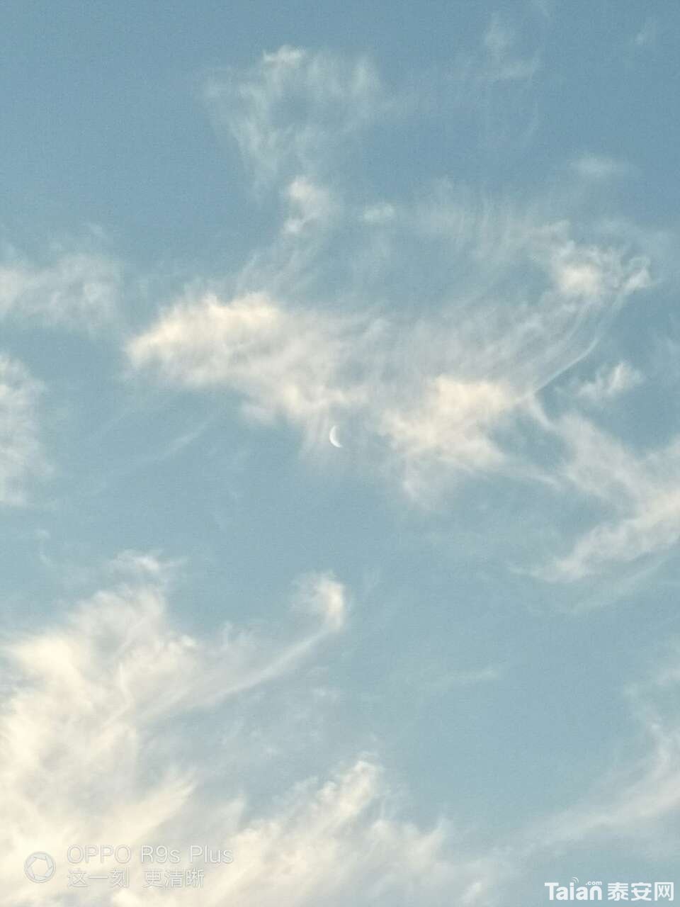 20190602_889071_1559430075392.jpg