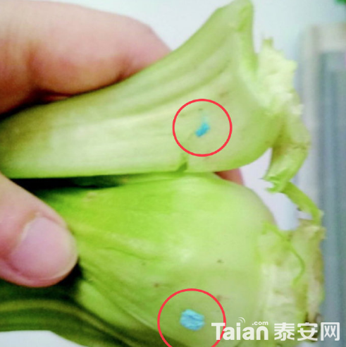 QQ��ͼ20190604100008.png