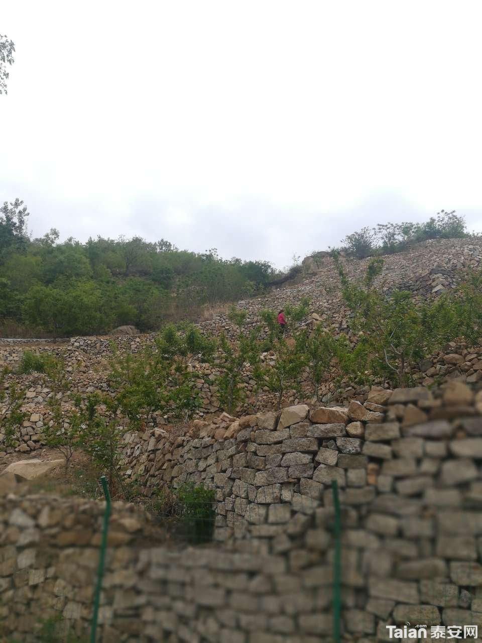20190614_873967_1560472823582.jpg