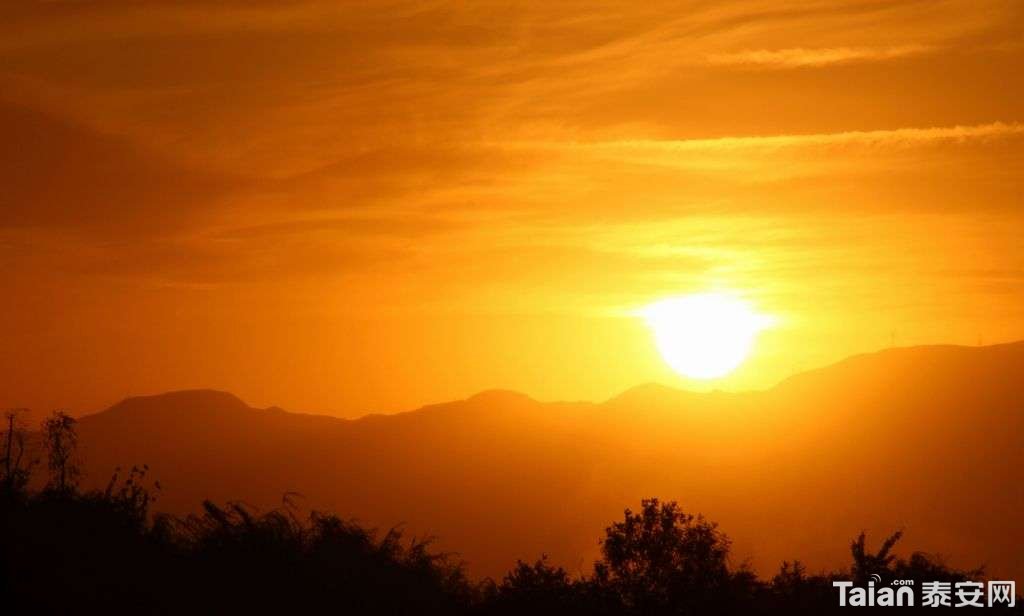 20190623_873967_1561297250473.jpg