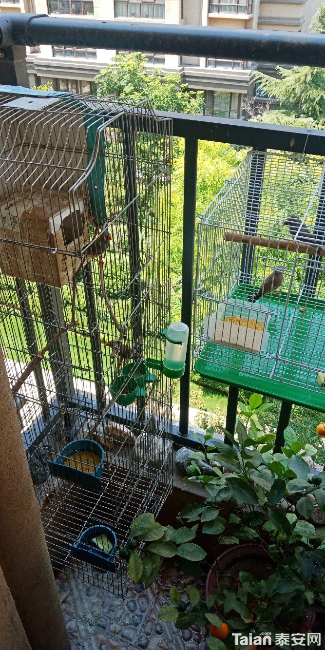 IMG20190626132039.jpg