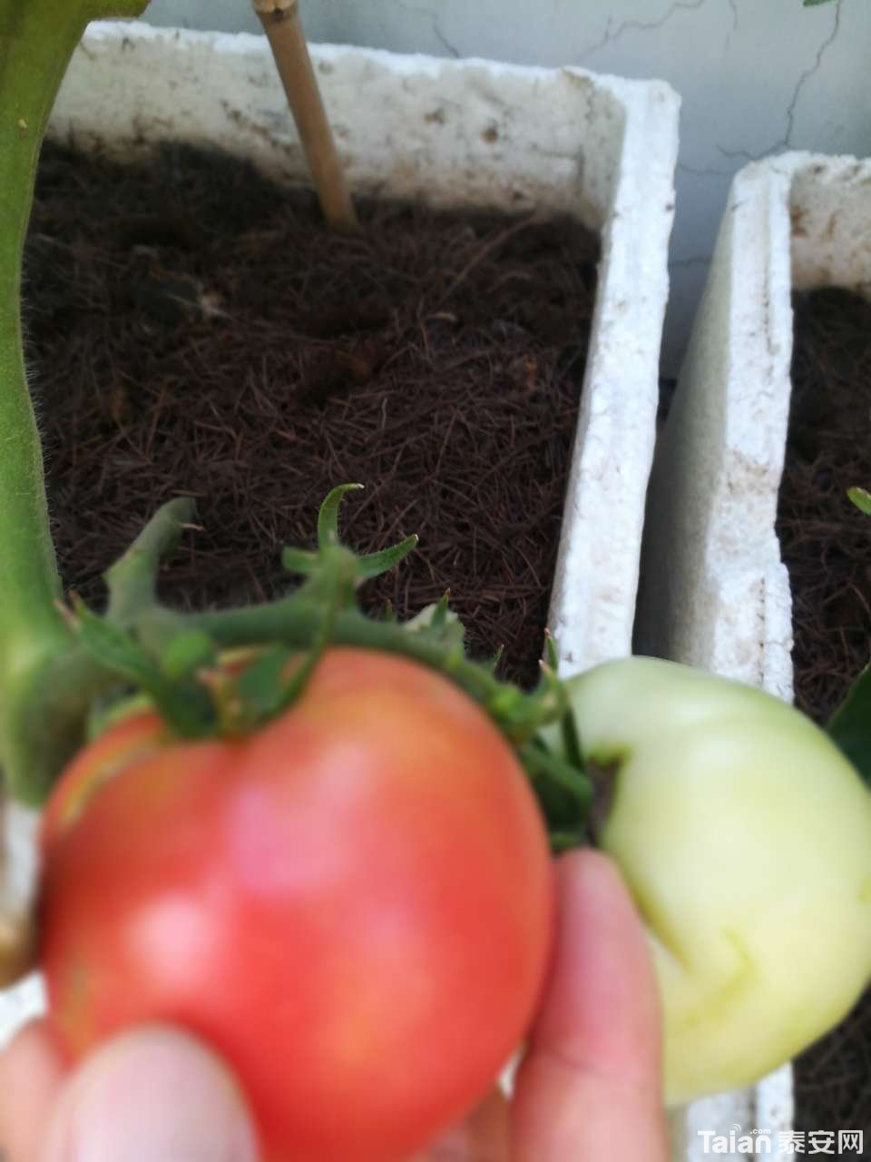 20190626_873967_1561514520647.jpg