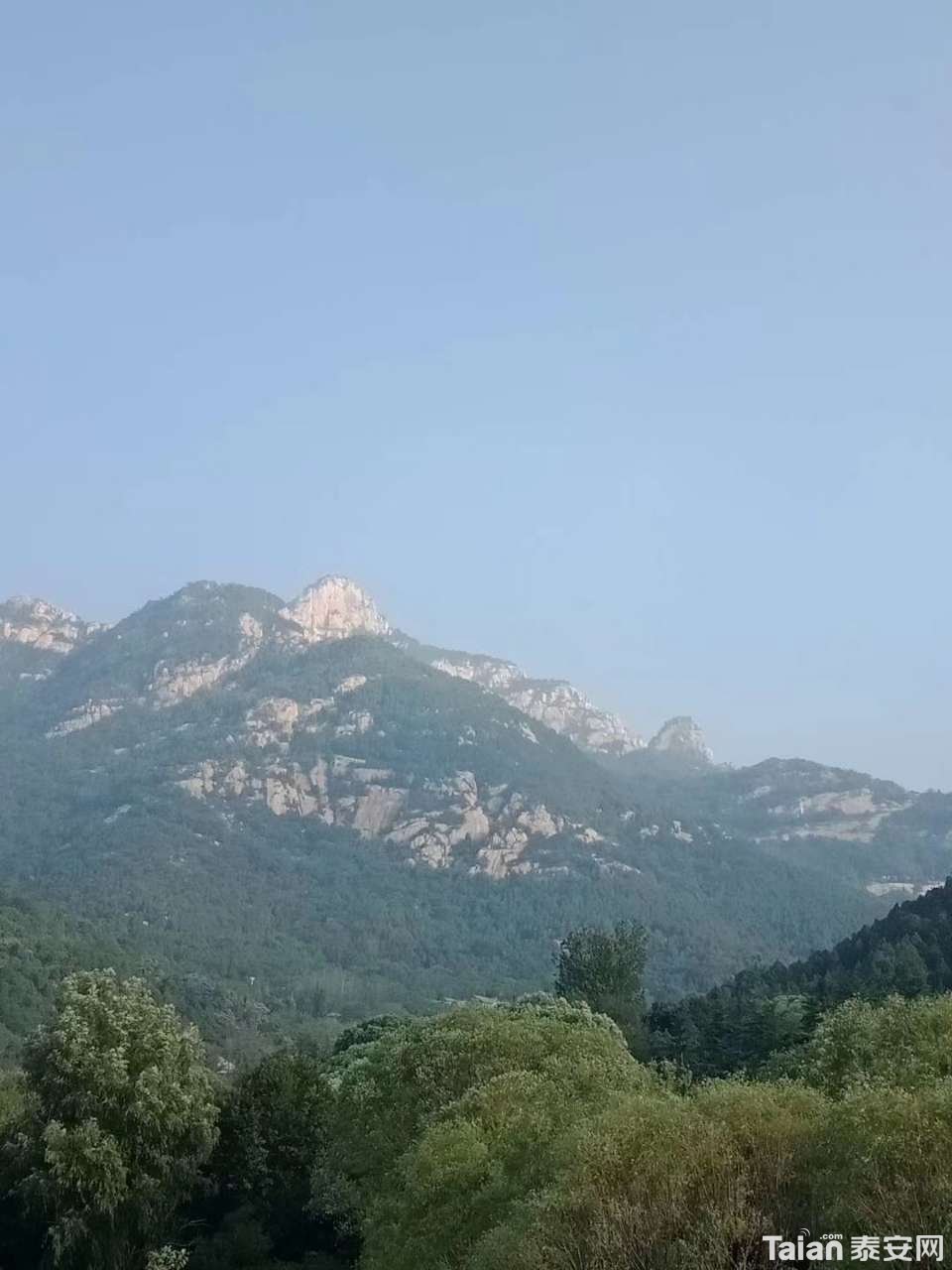 20190626_873967_1561518697741.jpg
