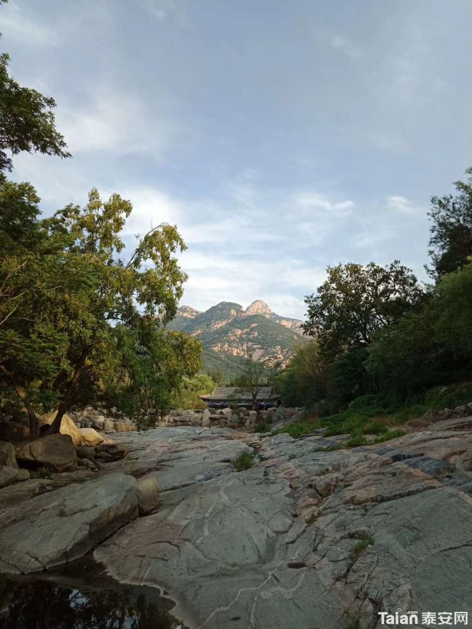 20190626_873967_1561518698214.jpg