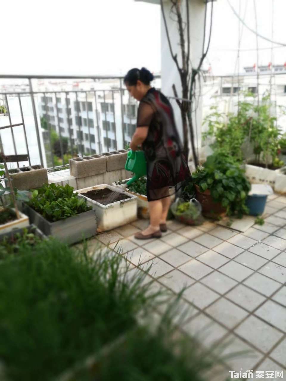 20190702_873967_1562017984441.jpg